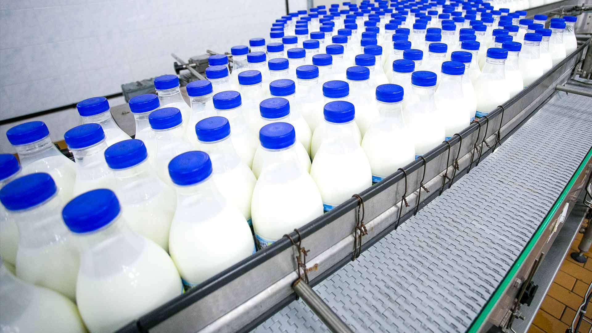 Питьевое хозяйство. Производство молока. Молоко на конвейере. Молоко в промышленности. Производители молока в бутылках.
